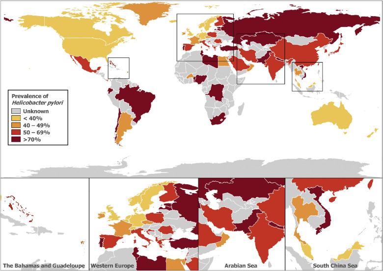 global prevalence of HP choropleth map